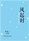 风起时我在等你林晏声苏青棠