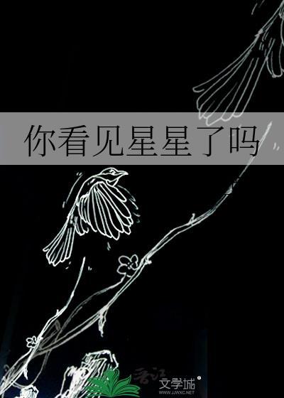 你看见星星了吗笔趣阁