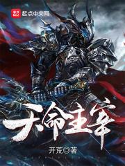 天命主宰faker