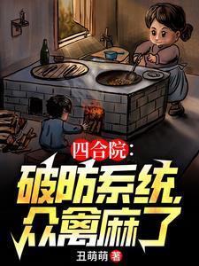 四合院之轧钢厂司机文盲爱听书