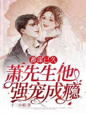 蓄谋已久萧先生他强宠成瘾 笔趣阁