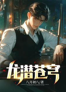 龙潜苍穹笔趣阁正版阅读