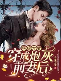 满级大佬当炮灰全集