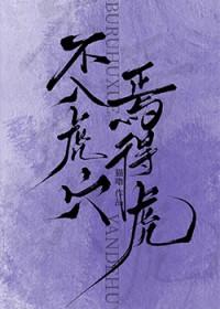 不入虎穴，焉得虎